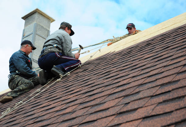 Best Shingle Roofing Installation  in Carlton, OR